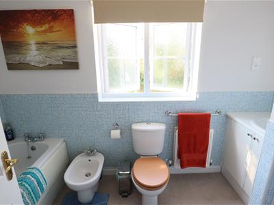 Picture 13